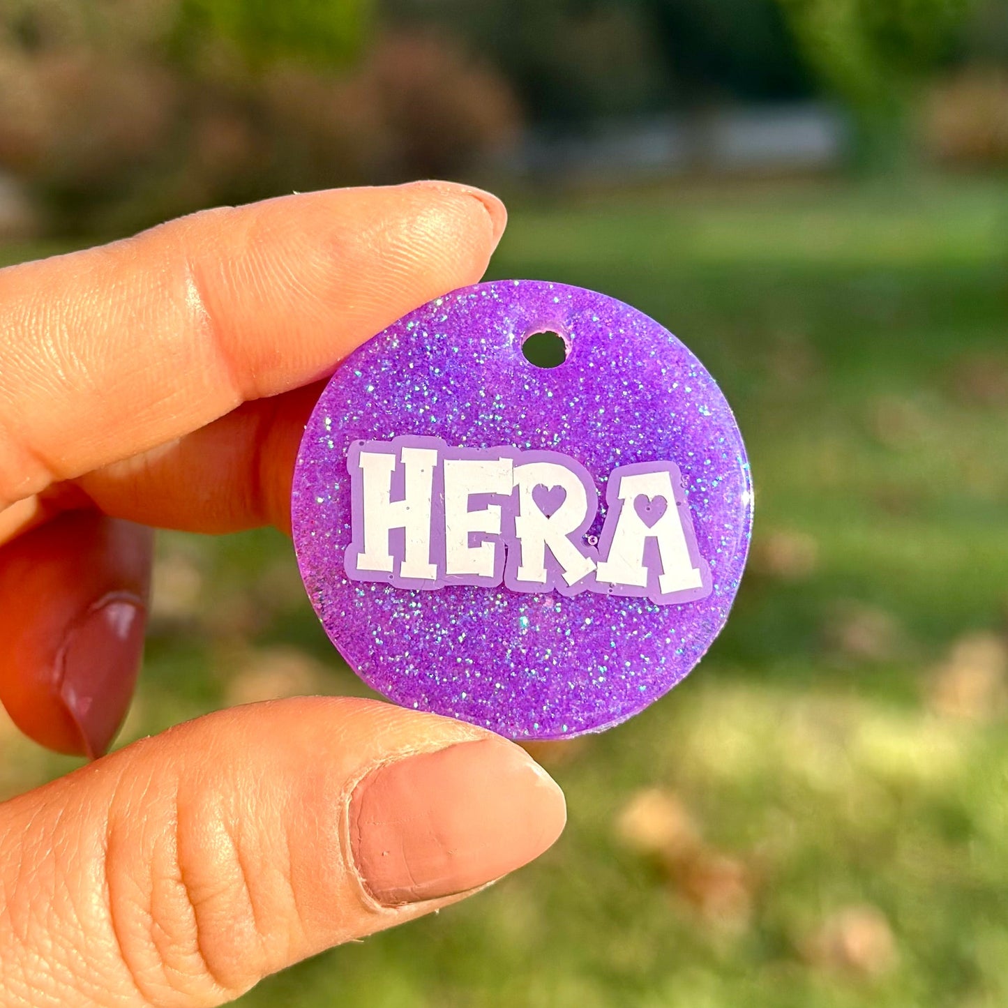 Amethyst | İsimli Köpek Künyesi