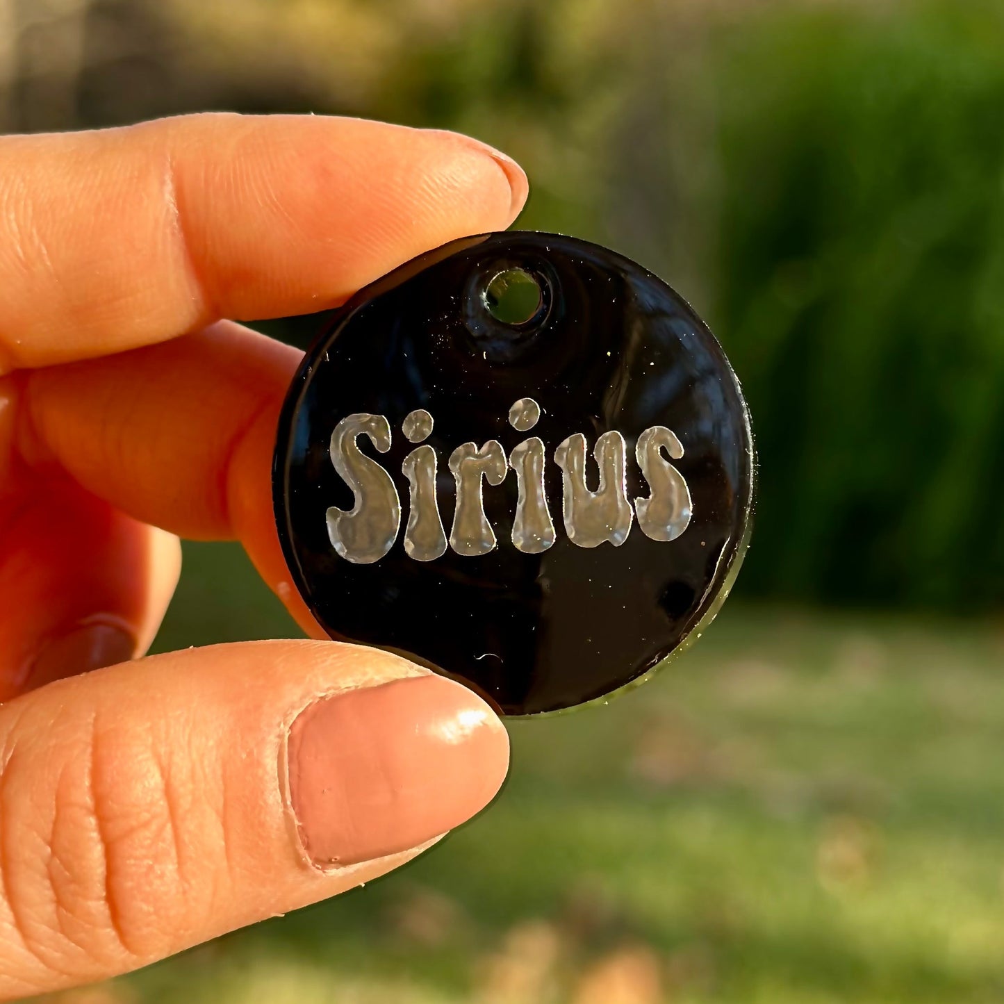 Raven | İsimli Köpek Künyesi