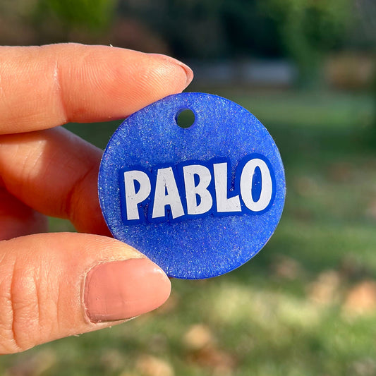 Hollywood | İsimli Kedi Künyesi