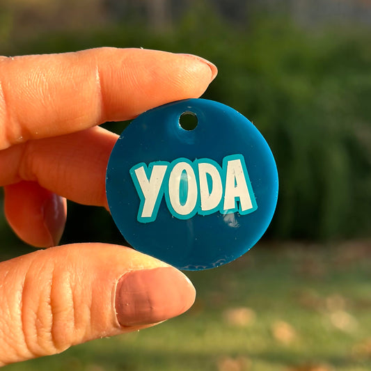 Havana | İsimli Kedi Künyesi