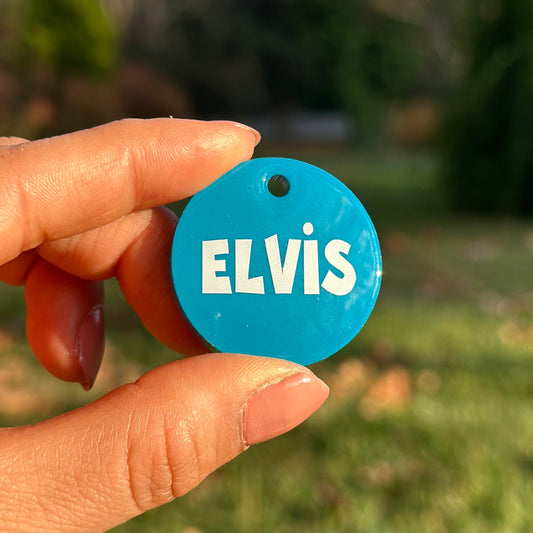 Uranus | İsimli Kedi Künyesi