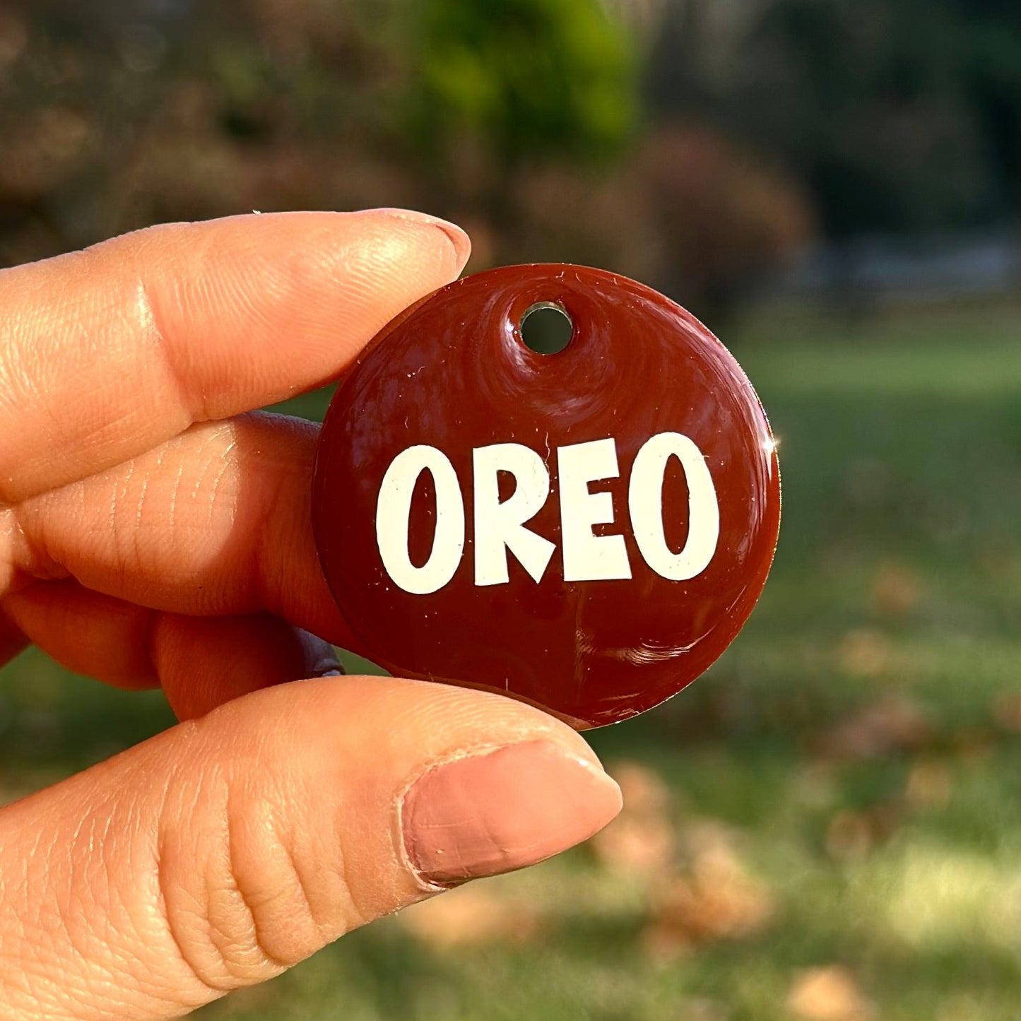 Rio | İsimli Kedi Künyesi