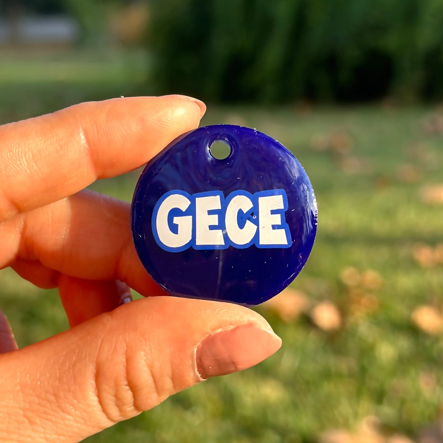 Space | İsimli Kedi Künyesi