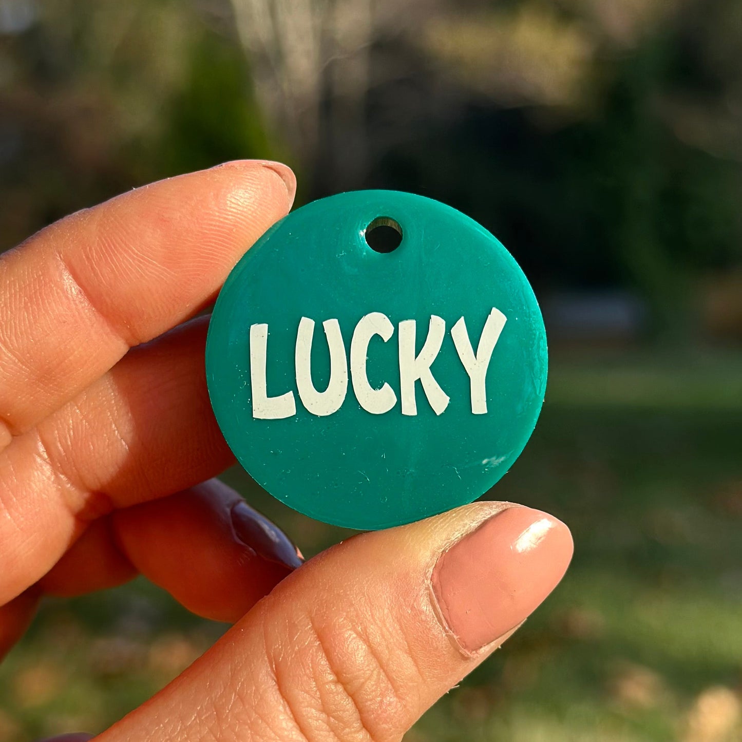 Cactus | İsimli Kedi Künyesi