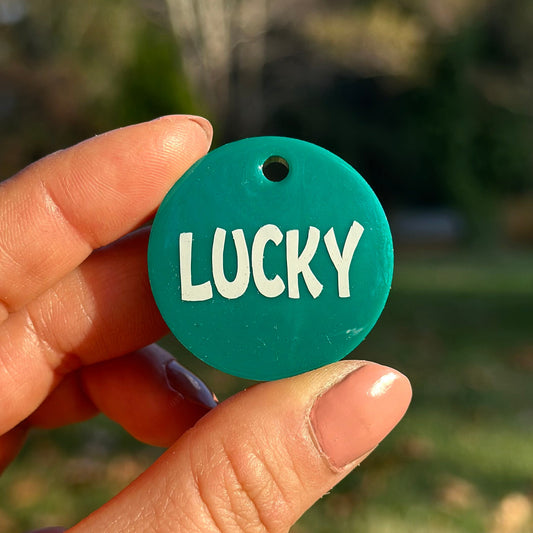 Cactus | İsimli Kedi Künyesi