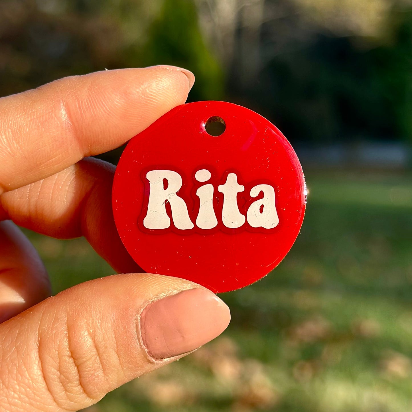 Cardinal | İsimli Kedi Künyesi