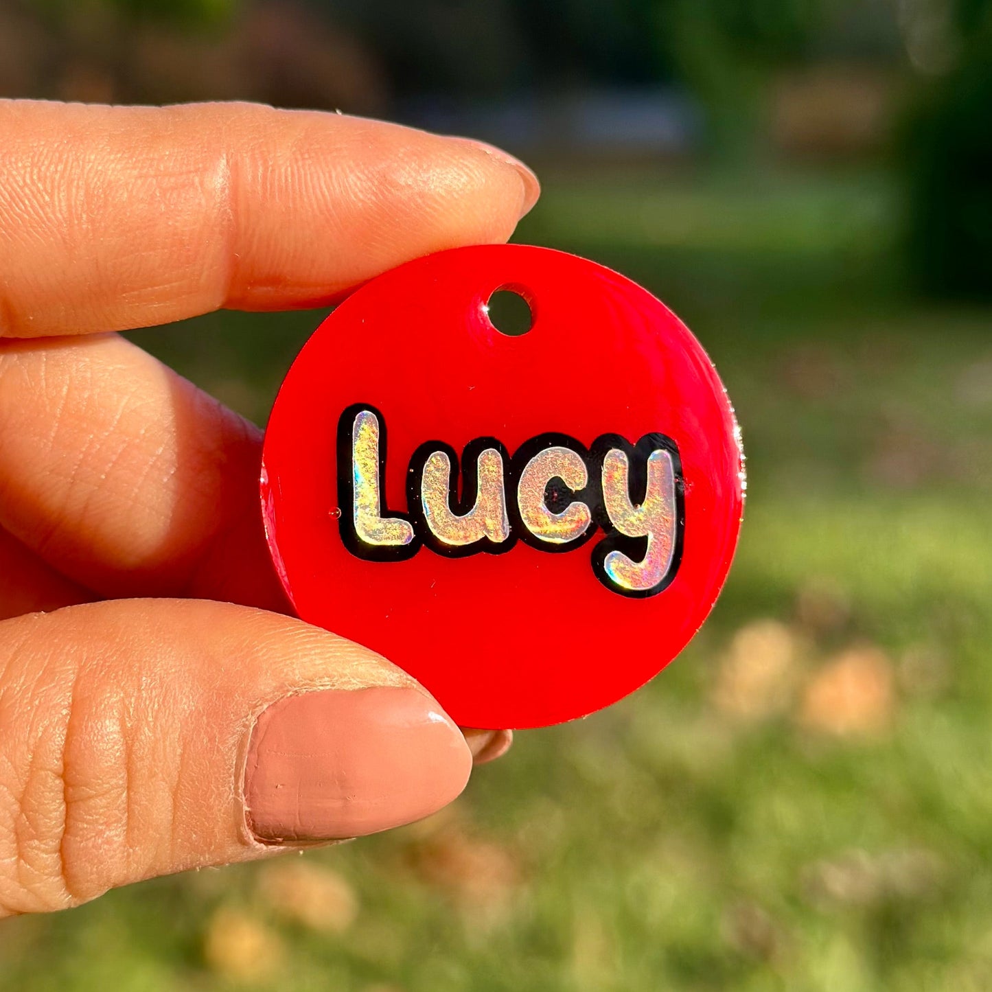 Cherry | İsimli Kedi Künyesi