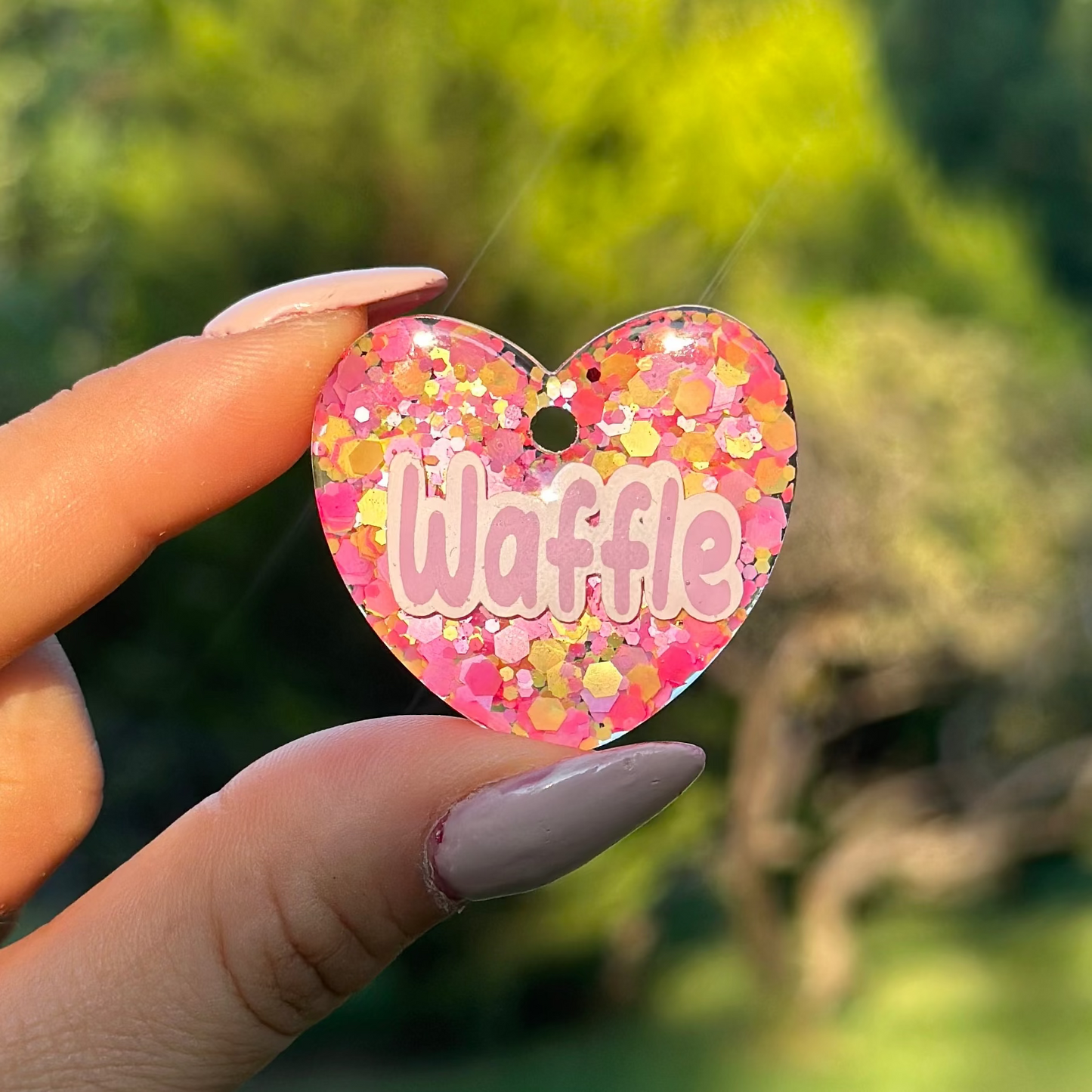 Pixie│ İsimli Köpek Künyesi