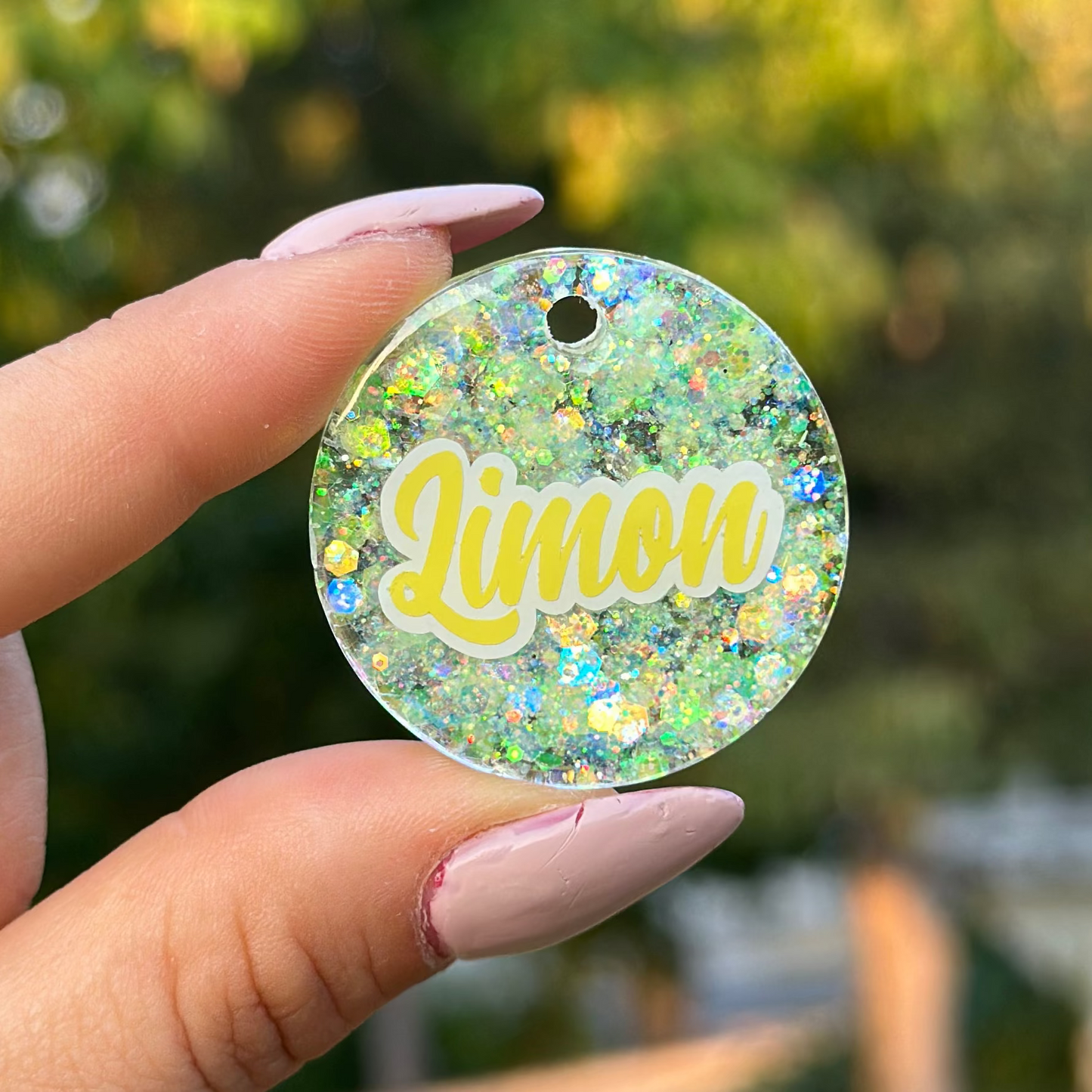 Mimosa │ İsimli Kedi Künyesi
